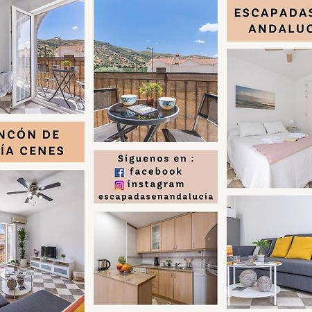 Ferienwohnung Rincon De Lucia Cenes De La Vega Exterior foto
